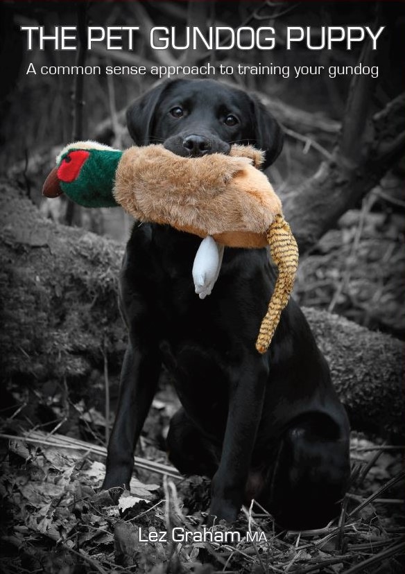 The Pet Gundog Puppy